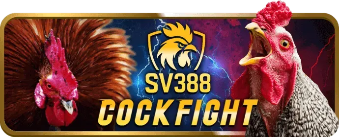 Phát sóng đá gà trực tiếp sống động J88VIP0